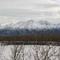 Range View