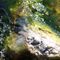 Quartz, Water, Waves and Slime