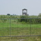 observatoire d oiseaux d alfred.