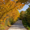 West Back Line, Berkeley, ON, Canada