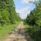 Rail trail south of Markdale