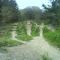 Pickering Dirt jumps