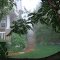 Foggy garden path