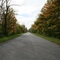 Autumn afternoon, Feeder Canal Rd, Dunnville