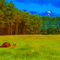 Kingcreek Kennel field at 229 Airport Rd