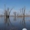 Minesing Swamp spring flood