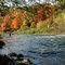 Fishing in Erindale Park