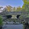 Wooden Bridge