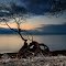 Lake Ontario shores at dawn