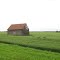 Log shed in a huge field.