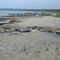 French Bay