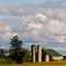 Farm
