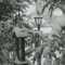 Snowy Lamp Post