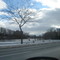 The Thames