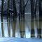 Soggy Pavilion
