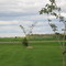 chatham kent landscape