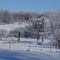 Winter scene alongside Wylie Road