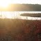 Black Duck lake 2 (December)