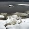 Ottawa river (December) 2