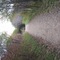 Dundas Conservation Area