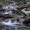 Downstream at Sherman Falls