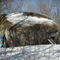 Bleasdell Boulder (glacial erratic) 16Feb'09. Weighs about 1000 metric tons.