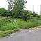 Former Central Ontario Railway, now the Lower Trent Trail, not maintained on the west side of Glen Ross Road., looking north west.  This is  a right-of-way,  not a formal trail.