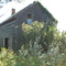 Old house