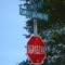 Interesting Native Stop Sign