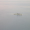 Two mile island