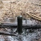 Bubbling Crude