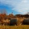 Holy Hay...