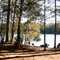 Dodge campsite