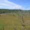 farm near mount st. Patrick