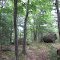 There are many glacial erratic rocks in this area.