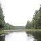 Looking down the creek that drains Schooner Lake.