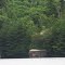 Huge flat top rock at the far east end of Sullivan Lake.  It even shows up in the satelite photo and is very white.