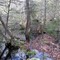 Beaver country4
