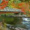 Along the River in Autumn, Muskoka ON.
