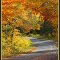 Northern Road in Autumn