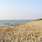 Beach at The Pinery Provincial Park