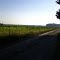 Good ol farm fields