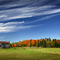 Colors of the Countryside