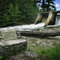 Little Rapids Dam