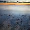 By Fading Light