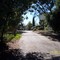 roycove drive