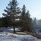 Winter is beautiful in Toronto