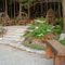 Shade Garden Patio