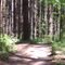 Albion Hills, Albion Witch Trail Head Entrance