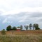 Farmland on Hwy 27, ON
